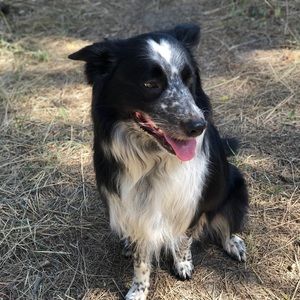 Meet your Posher, Tyree